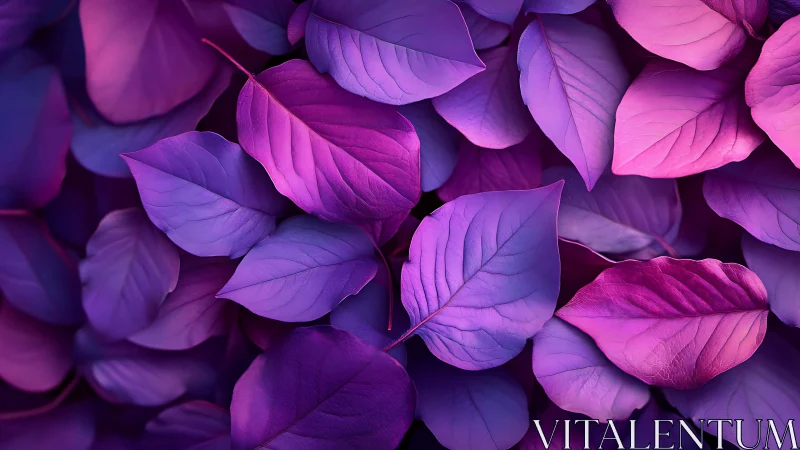 Chromatic macro foliage array in violet-magenta spectral gradients.