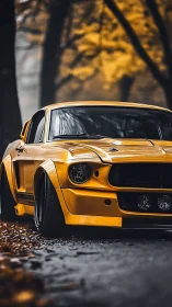 Low-slung yellow muscle car on moody autumn forest road.