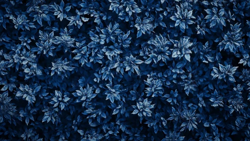 Dense top view of frosted foliage in monochrome blue tones.