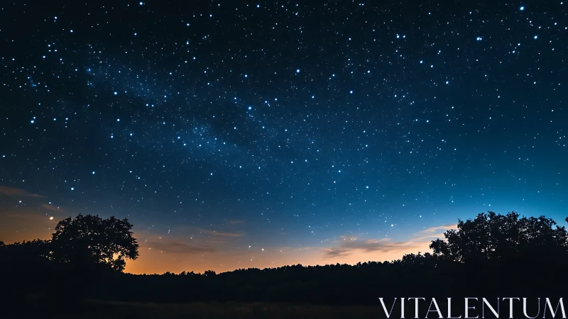 Night sky shows dense star field over silhouetted treeline