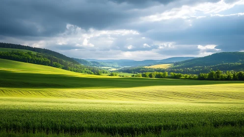 Sweeping sunlit fields under brooding layered storm clouds.