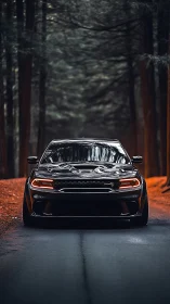 Black sports sedan on forest road with orange leaf bed.