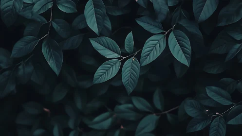 Low-key botanical foliage study with teal elliptic leaves