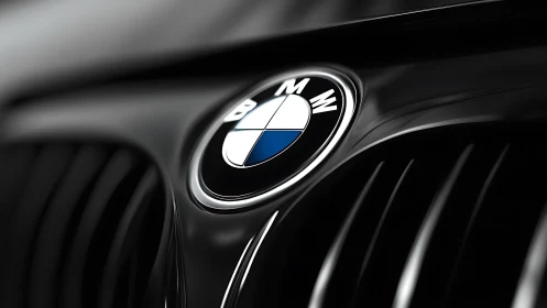 BMW hood emblem close-up on glossy black grille surface.