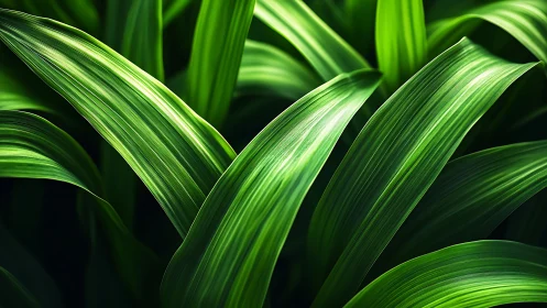Close view of layered green leaves with linear texture.