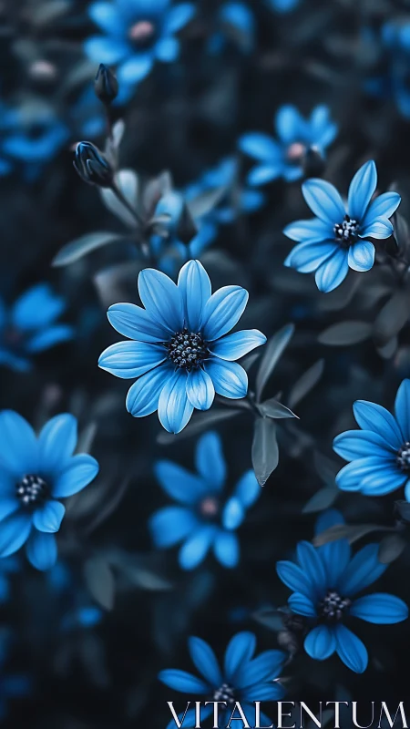 Blue Flowers with Selective Focus Depth of Field