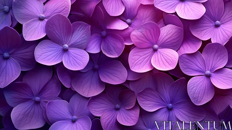 Lavender Petals Dance Through Purple Luminescence.