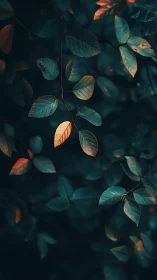 Lone ember leaf glows quietly in teal forest hush.