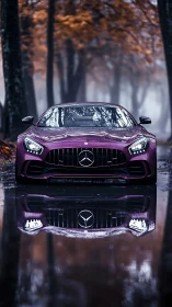 Crimson supercar stalks a misty autumn road, twin in water.