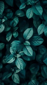 Dark teal plant leaves in close-up natural pattern.