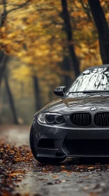 Dark gray BMW parked on wet forest road in autumn rain.