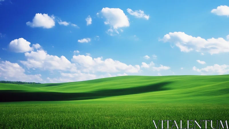 Photorealistic rolling meadow under expansive summer sky.