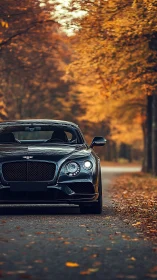 Black luxury coupe advances along autumn forest roadway