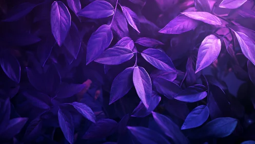 Ultraviolet foliage study with directional rim lighting and glossy textures
