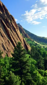 Sunlit red rock cliffs above dense evergreen forest valley.