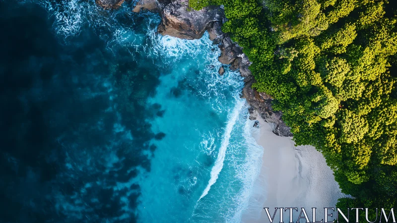 Aerial Coastal Intersection: Turquoise Shoreline with Forest Canopy.