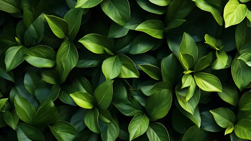 Emerald leaf mosaic weaving a lush botanical daydream.