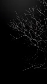 Stark winter branches etched against deep black void.