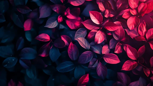 Macro leaf canopy under cyan-magenta bicolor cinematic lighting