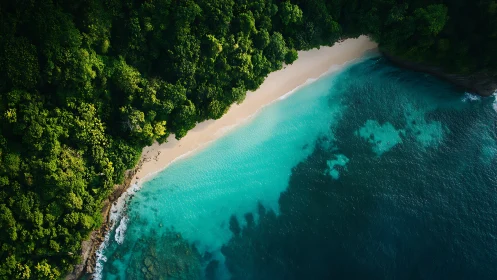 Tropical Coastal Aerial: Dense Rainforest Meeting Turquoise Waters