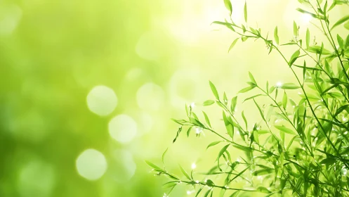 Soft sunlit leaves drifting through a gentle green morning.