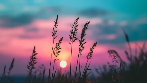 Silhouetted meadow grass cuts into neon sunset gradient sky.