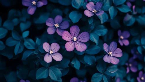 Purple Petals Against Teal Foliage: Macro Depth Study.