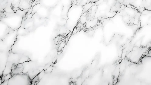 Soft white marble surface with gentle flowing gray veins.