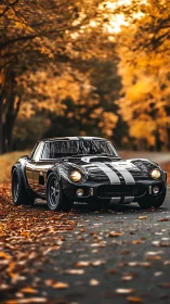 Classic black sports coupe with racing stripes on autumn road