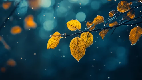 Golden autumn leaves against teal bokeh forest backdrop.