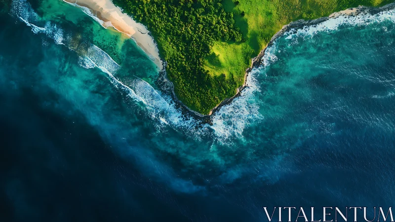 Coastal Headland with Dense Forest Meets Turquoise Ocean Waves.