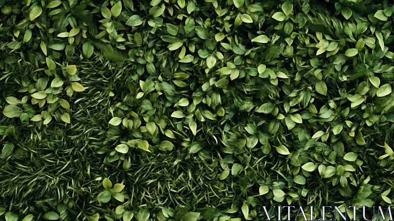 Planar foliage matrix with dense anisotropic leaf coverage.