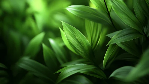 Verdant leaf canopy in softly blurred forest light.