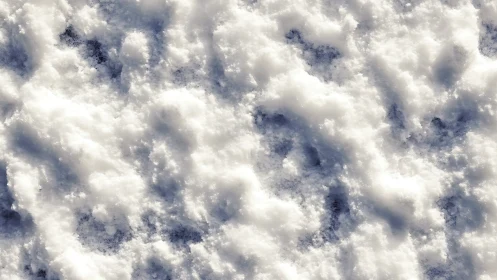 Surface of compacted snow shows granular, uneven texture