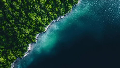 Aerial view of dense forest coastline meeting turquoise water
