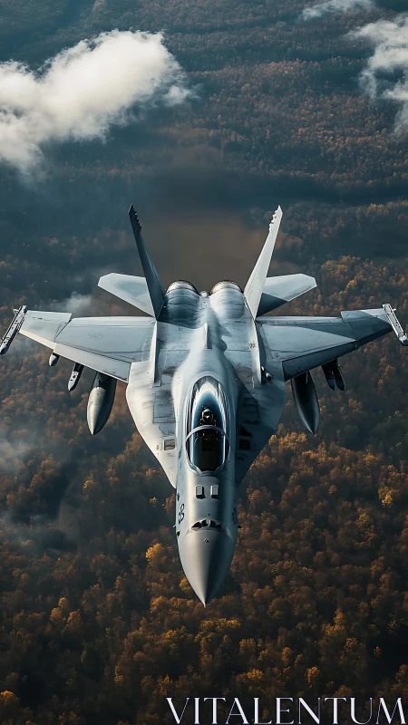 Strike fighter jet cuts through autumn forest haze at speed.