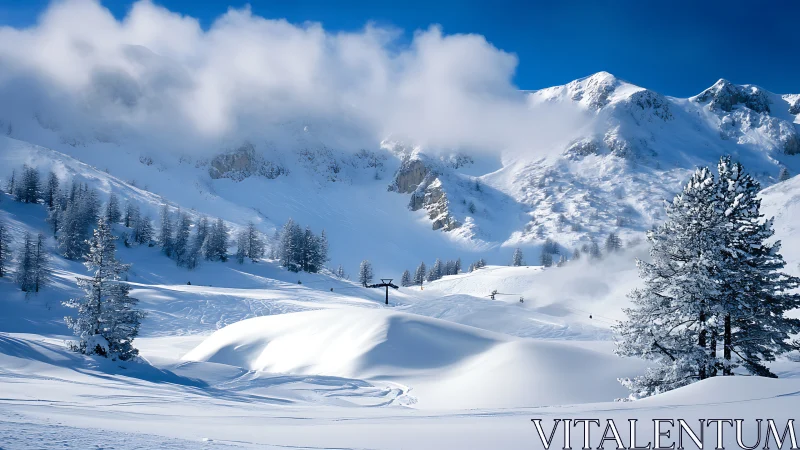 High-alpine powder landscape with ski tracks and cloud inversion
