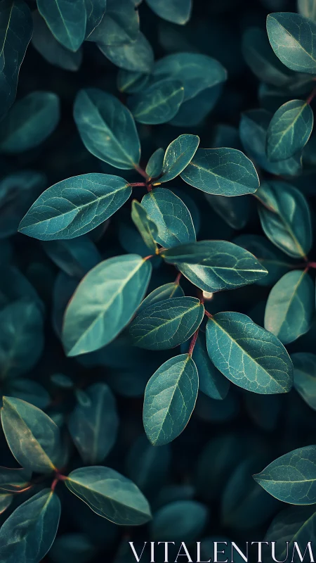 Teal foliage fills frame with soft directional light glow.