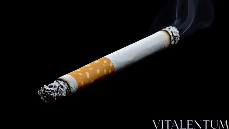 Burning cigarette close-up on black studio background.