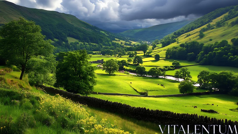 Sunlit green valley contrasts with storm-darkened hillsides