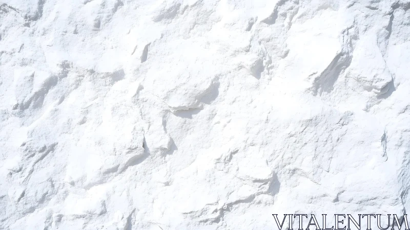 Bright sunlit white stone texture with rough natural surface.