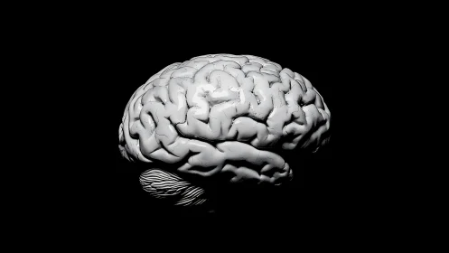 Mind’s marble engine glows quietly in the studio void