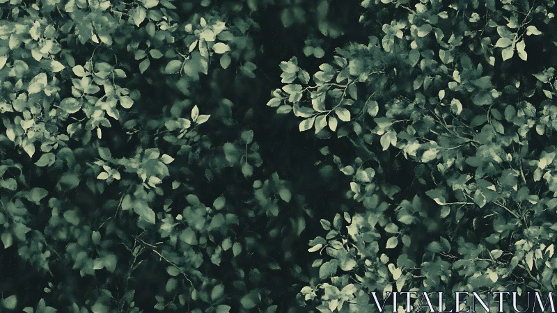Dense overlapping green foliage pattern on dark background.