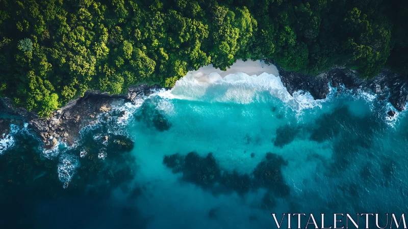 Turquoise Coastline Meets Emerald Forest
