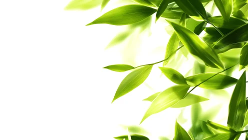 Luminous green leaves drift across bright white space.