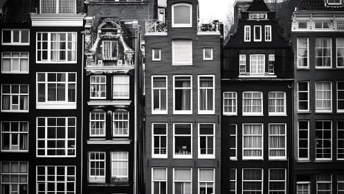 Historic canal houses stand in tight monochrome symmetry.