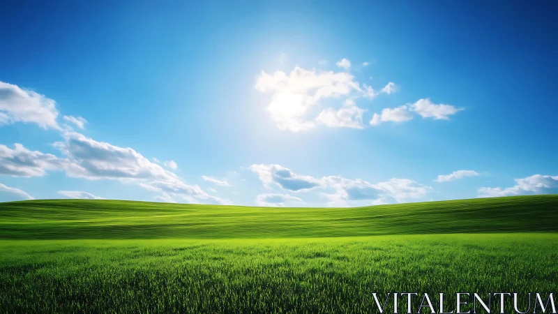 Sunlit rolling grassland under high-contrast midday sky