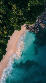 Tropical Beach Paradise with Turquoise Waters and Lush Jungle
