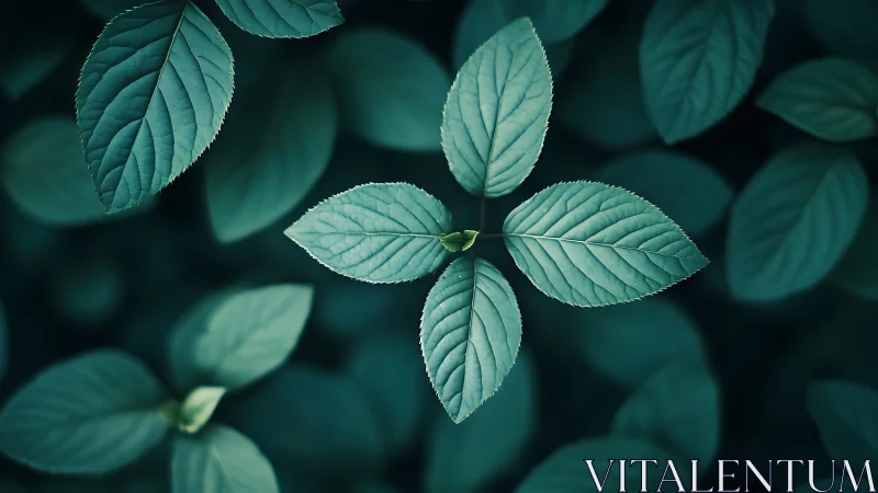 Radial leaf whorl rendered in cool-toned macro focus study