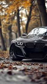 Black coupe parked on leaf-covered forest road in autumn.